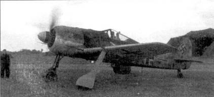 Асы люфтваффе пилоты Fw 190 на Западном фронте Асы люфтваффе пилоты Fw 190 на Западном фронте
