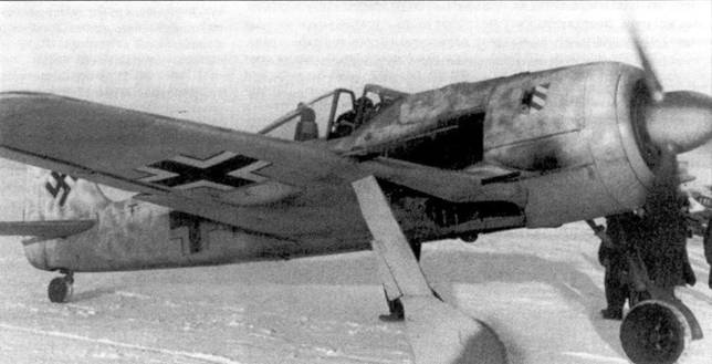 Асы люфтваффе. Пилоты Fw 190 на Восточном фронте Асы люфтваффе. Пилоты Fw 190 на Восточном фронте