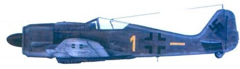 Асы люфтваффе. Пилоты Fw 190 на Восточном фронте Асы люфтваффе. Пилоты Fw 190 на Восточном фронте