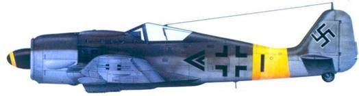 Асы люфтваффе. Пилоты Fw 190 на Восточном фронте Асы люфтваффе. Пилоты Fw 190 на Восточном фронте