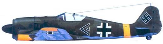 Асы люфтваффе. Пилоты Fw 190 на Восточном фронте Асы люфтваффе. Пилоты Fw 190 на Восточном фронте