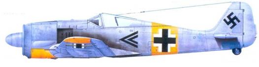 Асы люфтваффе. Пилоты Fw 190 на Восточном фронте Асы люфтваффе. Пилоты Fw 190 на Восточном фронте