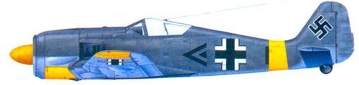 Асы люфтваффе. Пилоты Fw 190 на Восточном фронте Асы люфтваффе. Пилоты Fw 190 на Восточном фронте
