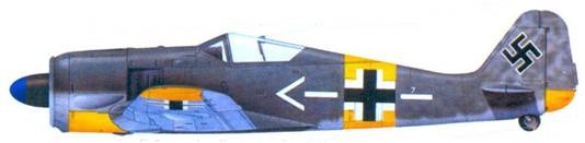 Асы люфтваффе. Пилоты Fw 190 на Восточном фронте Асы люфтваффе. Пилоты Fw 190 на Восточном фронте