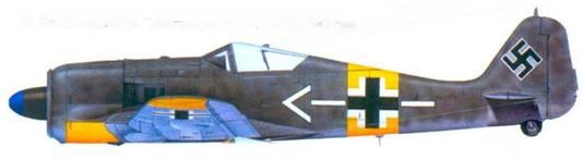 Асы люфтваффе. Пилоты Fw 190 на Восточном фронте Асы люфтваффе. Пилоты Fw 190 на Восточном фронте