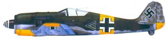 Асы люфтваффе. Пилоты Fw 190 на Восточном фронте Асы люфтваффе. Пилоты Fw 190 на Восточном фронте