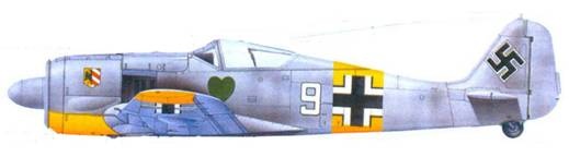 Асы люфтваффе. Пилоты Fw 190 на Восточном фронте Асы люфтваффе. Пилоты Fw 190 на Восточном фронте