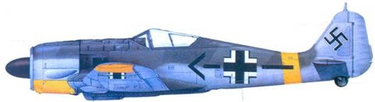 Асы люфтваффе. Пилоты Fw 190 на Восточном фронте Асы люфтваффе. Пилоты Fw 190 на Восточном фронте