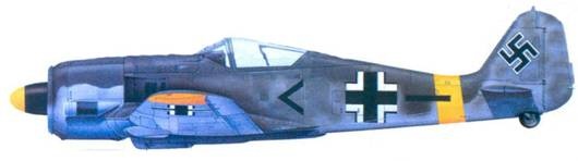 Асы люфтваффе. Пилоты Fw 190 на Восточном фронте Асы люфтваффе. Пилоты Fw 190 на Восточном фронте