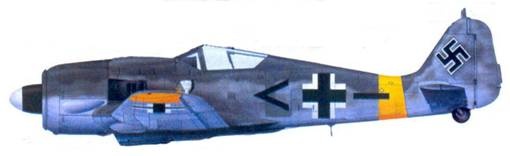 Асы люфтваффе. Пилоты Fw 190 на Восточном фронте Асы люфтваффе. Пилоты Fw 190 на Восточном фронте
