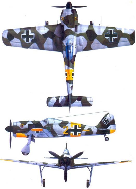 Асы люфтваффе. Пилоты Fw 190 на Восточном фронте Асы люфтваффе. Пилоты Fw 190 на Восточном фронте