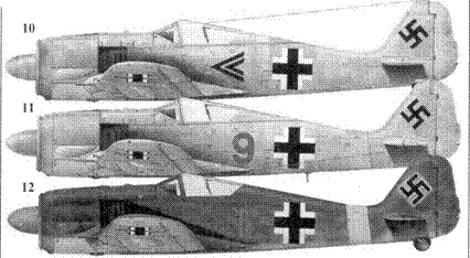 Асы люфтваффе. Пилоты Fw 190 на Восточном фронте Асы люфтваффе. Пилоты Fw 190 на Восточном фронте