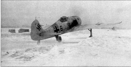 Асы люфтваффе. Пилоты Fw 190 на Восточном фронте Асы люфтваффе. Пилоты Fw 190 на Восточном фронте