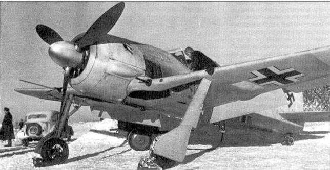 Асы люфтваффе. Пилоты Fw 190 на Восточном фронте Асы люфтваффе. Пилоты Fw 190 на Восточном фронте