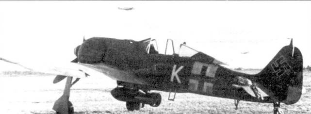 Асы люфтваффе. Пилоты Fw 190 на Восточном фронте Асы люфтваффе. Пилоты Fw 190 на Восточном фронте