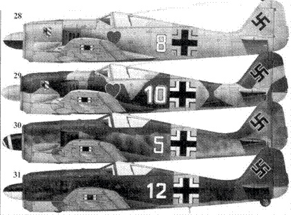 Асы люфтваффе. Пилоты Fw 190 на Восточном фронте Асы люфтваффе. Пилоты Fw 190 на Восточном фронте