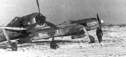 Асы люфтваффе. Пилоты Fw 190 на Восточном фронте Асы люфтваффе. Пилоты Fw 190 на Восточном фронте