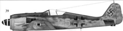 Асы люфтваффе. Пилоты Fw 190 на Восточном фронте Асы люфтваффе. Пилоты Fw 190 на Восточном фронте