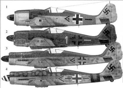 Асы люфтваффе. Пилоты Fw 190 на Восточном фронте Асы люфтваффе. Пилоты Fw 190 на Восточном фронте