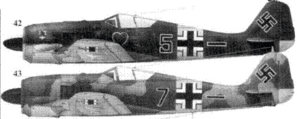 Асы люфтваффе. Пилоты Fw 190 на Восточном фронте Асы люфтваффе. Пилоты Fw 190 на Восточном фронте