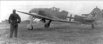 Асы люфтваффе. Пилоты Fw 190 на Восточном фронте Асы люфтваффе. Пилоты Fw 190 на Восточном фронте