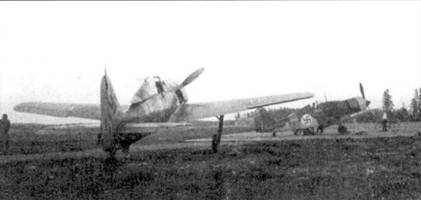 Асы люфтваффе. Пилоты Fw 190 на Восточном фронте Асы люфтваффе. Пилоты Fw 190 на Восточном фронте