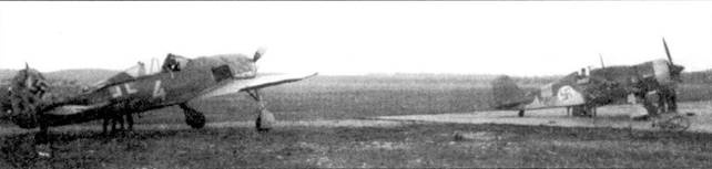 Асы люфтваффе. Пилоты Fw 190 на Восточном фронте Асы люфтваффе. Пилоты Fw 190 на Восточном фронте