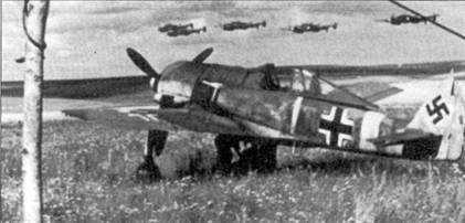 Асы люфтваффе. Пилоты Fw 190 на Восточном фронте Асы люфтваффе. Пилоты Fw 190 на Восточном фронте