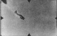 Me 262 последняя надежда Люфтваффе Часть 1 Me 262 последняя надежда Люфтваффе Часть 1