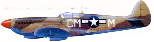 Британские асы пилоты «Спитфайров» Часть Британские асы пилоты «Спитфайров» Часть