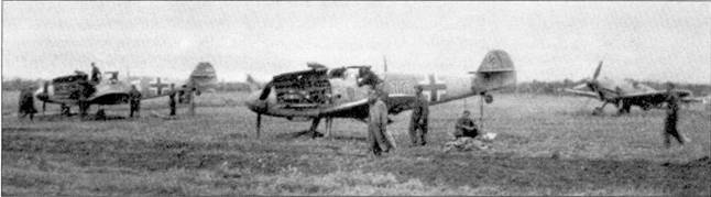 Асы Люфтваффе Пилоты люфтваффе Bf 109 на Восточном Фронте Асы Люфтваффе Пилоты люфтваффе Bf 109 на Восточном Фронте