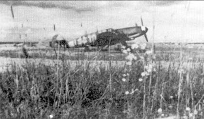 Асы Люфтваффе Пилоты люфтваффе Bf 109 на Восточном Фронте Асы Люфтваффе Пилоты люфтваффе Bf 109 на Восточном Фронте