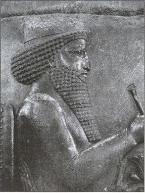 Скифы. Исчезнувшие владыки степей Скифы. Исчезнувшие владыки степей