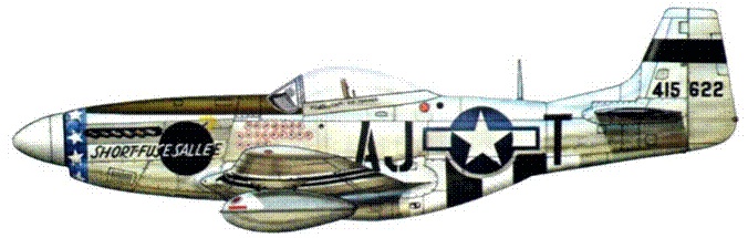 Р-51 «Мустанг» Р-51 «Мустанг»