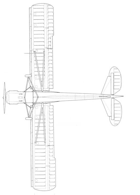 Fieseler Storch Fieseler Storch