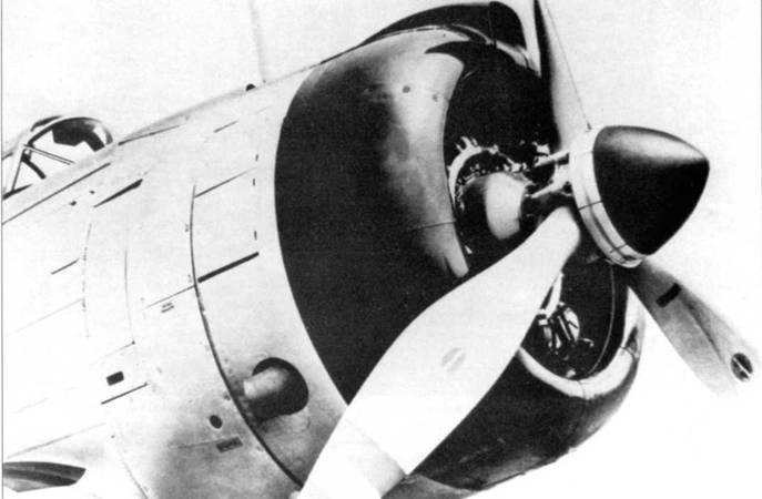 SBD «Dauntless» SBD «Dauntless»