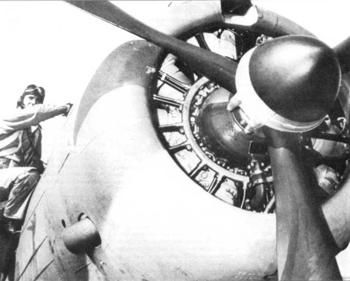 SBD «Dauntless» SBD «Dauntless»