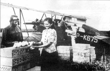 У-2 / По-2 У-2 / По-2