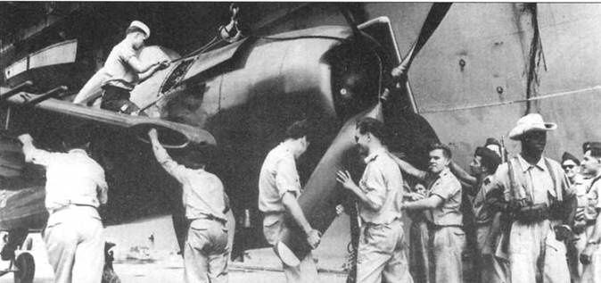 F8F «Bearcat» F8F «Bearcat»
