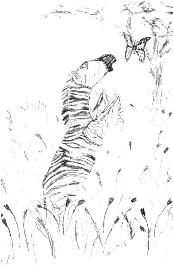 Бесконечное число самых прекрасных форм Бесконечное число самых прекрасных форм