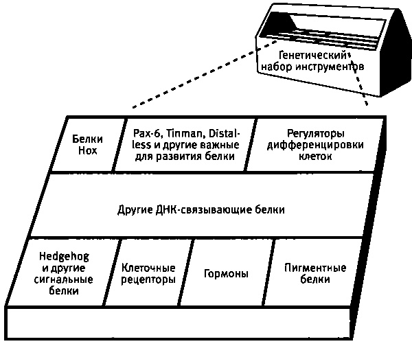 Бесконечное число самых прекрасных форм Бесконечное число самых прекрасных форм