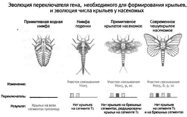 Бесконечное число самых прекрасных форм Бесконечное число самых прекрасных форм