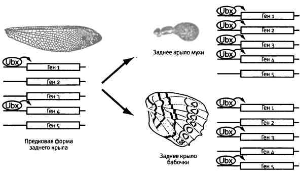 Бесконечное число самых прекрасных форм Бесконечное число самых прекрасных форм