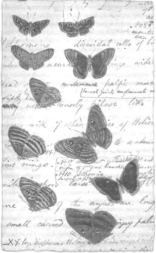 Бесконечное число самых прекрасных форм Бесконечное число самых прекрасных форм