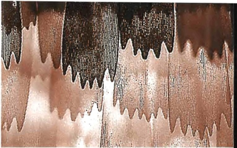 Бесконечное число самых прекрасных форм Бесконечное число самых прекрасных форм