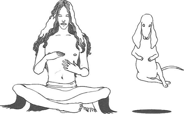 Смерть и приключения Ефросиньи Прекрасной