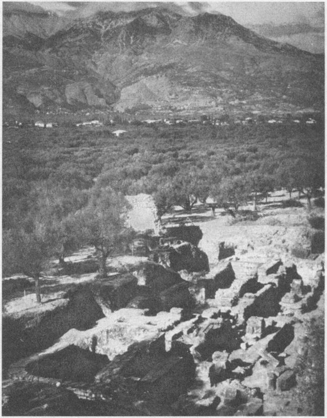 Архаическая Спарта. Искусство и политика Архаическая Спарта. Искусство и политика