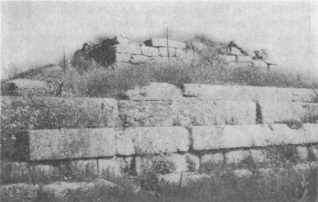 Архаическая Спарта. Искусство и политика Архаическая Спарта. Искусство и политика