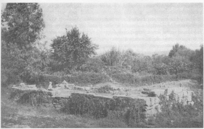 Архаическая Спарта. Искусство и политика Архаическая Спарта. Искусство и политика