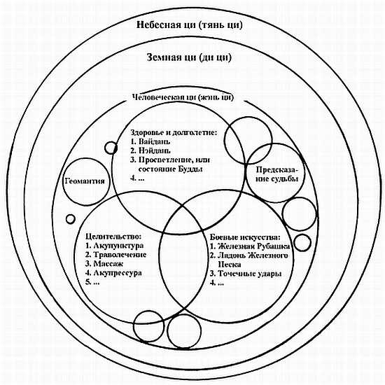 Корни китайского цигун. Секреты успешной практики Корни китайского цигун. Секреты успешной практики